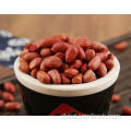 Organic Peanut Peanut Vs Tree Nut Supplier
